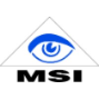 MSI - DI M. Schwaiger Logo