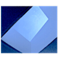 Buckley Search Inc. Logo