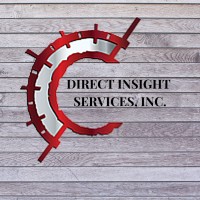 Direct Insight Services Inc. Logo
