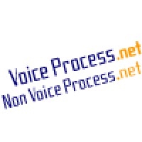 Voice Process.net & NonVoiceProcess.net Logo