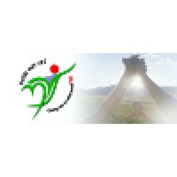 Vietnamese Youth Volunteer Organization Logo