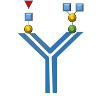 GLYKOGEN LIMITED Logo