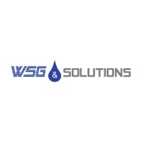 WSG & Solutions, Inc Logo