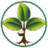 Seringueira.com Logo
