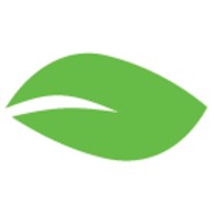 First Coast Focus Logo