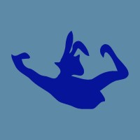 Echo & The Bunnymen Logo