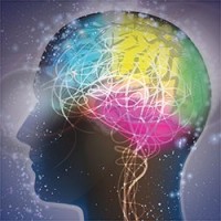 Brain Wealth Logo
