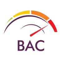 BOWKETT AUTO CONSULTING LTD Logo