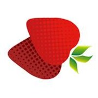 Valkeakosken kaupunki - City of Valkeakoski Logo