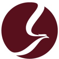 Soar Financial Partners Logo