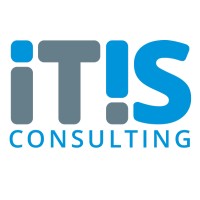 ITIS CONSULTING Logo