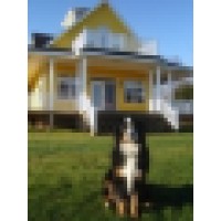 Big Dog Appraisals Logo