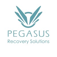 Pegasus Recovery Solutions Logo