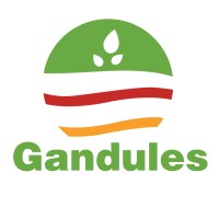 Gandules Inc Logo