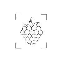 RaspberryRetouch Logo