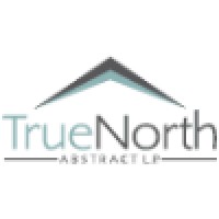 True North Abstract Logo