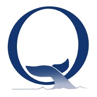 Naniq Global Logistics Logo
