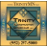 Trinity Construction Services, LLC Logo