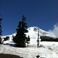 The Acquisitions Institute at Timberline Lodge Logo