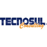 Tecnosul Consulting Logo