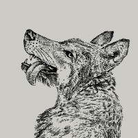 Smiling Wolf Logo