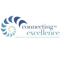 Connecting to Excellence Logo