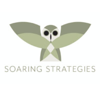 Soaring Strategies, Raines & Company CPAs P.C. Logo