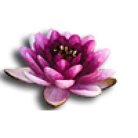 Mind Body Spirit Coaching Logo