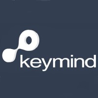 Keymind Inteligência em Gestão Logo