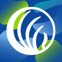 NAMI North Texas Logo