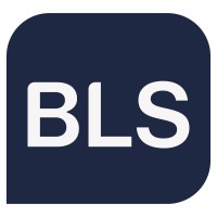 BLS Company - Consultoria Empresarial e Outsourcing Logo