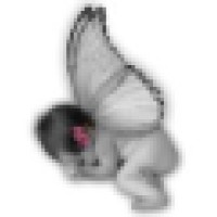 New Blossoms New Life Foundation Logo