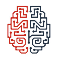 Raidne Logo