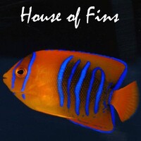House of Fins Logo