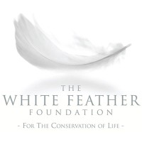 The White Feather Foundation Logo
