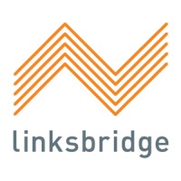 Linksbridge Logo