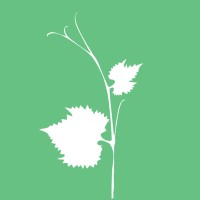 Vivero San Nicolas Logo