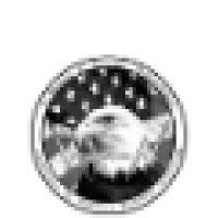 S Wright & Associate Technologies Logo