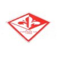Firenze Calcio a 5 ASD Logo