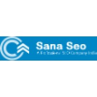 Professional SEO Company India,is also known as Digital Marketing & SEO Agency in India Logo