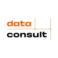DataConsult S.A. Logo