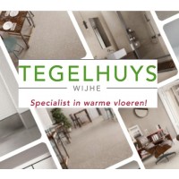 Tegelhuys Wijhe Logo