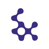 NetSocial Logo
