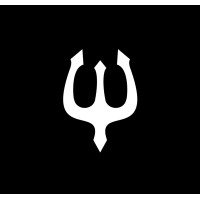 Triton IT Logo