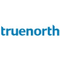 Truenorth FZE Logo