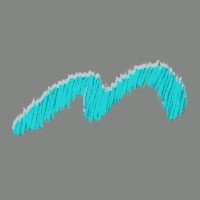 Meenakshi India Limited Logo