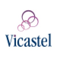 VICASTEL CONSEIL SARL Logo