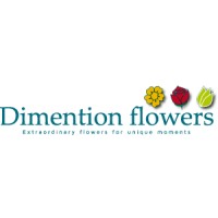 Dimention Flowers Logo