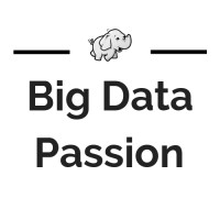 Big Data Passion Logo