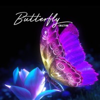 BUTTERFLY COLETIVO Logo